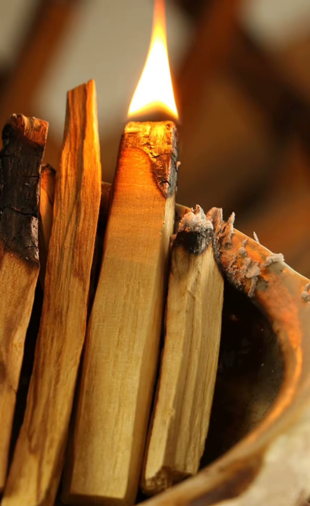 Beneficios-y-Propiedades-del-Palo-Santo